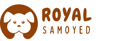 Royal Samoyed